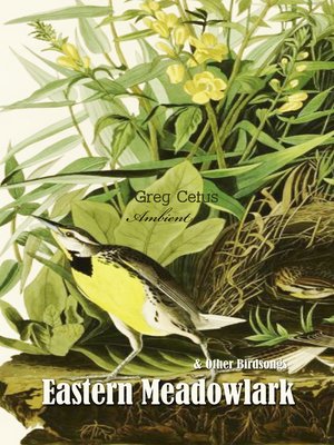 cover image of Eastern Meadowlark and Other Bird Songs